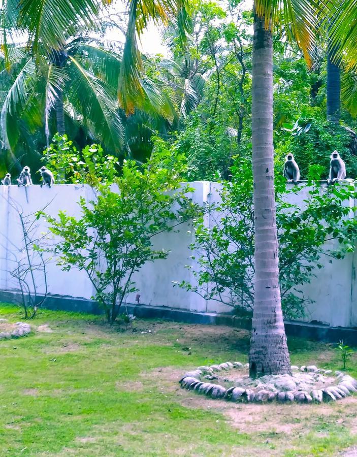 Pearl Oceanic Resort - ตรินโคมาลี ภายนอก รูปภาพ